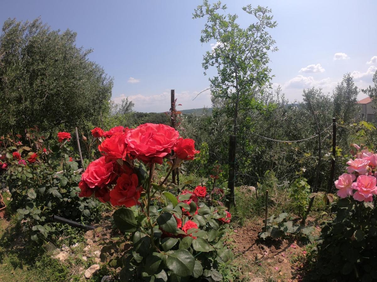 Apartman Tina Ražanac Esterno foto