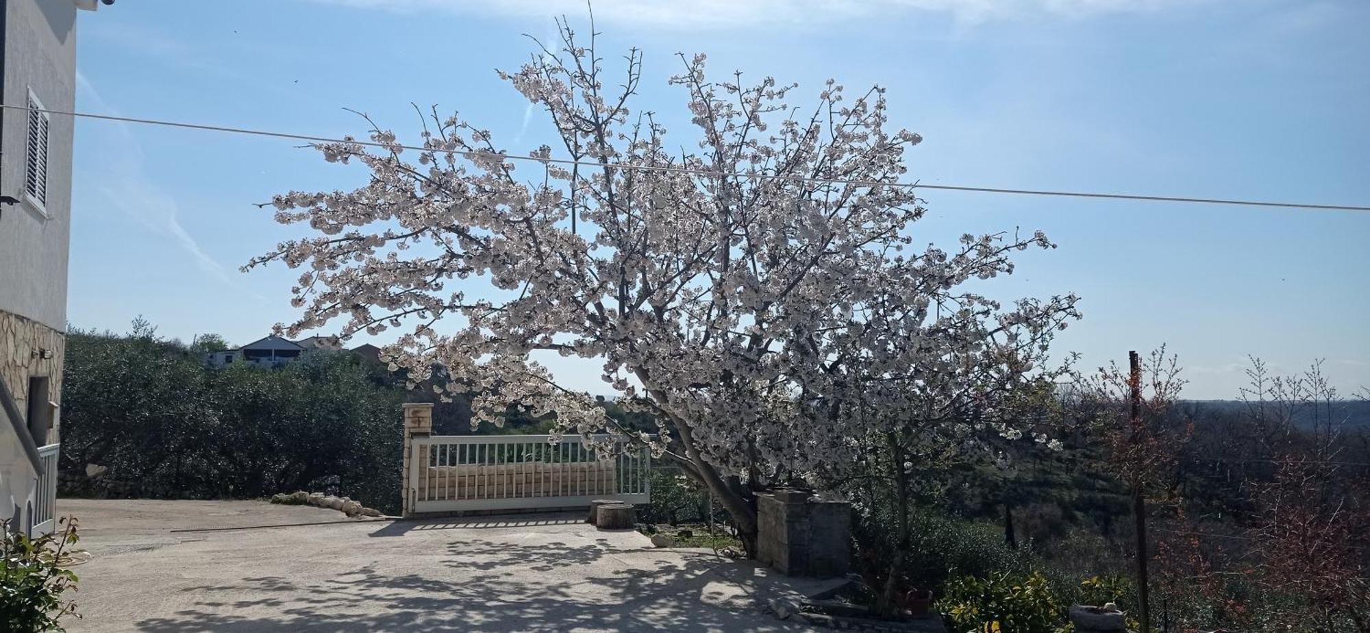 Apartman Tina Ražanac Esterno foto