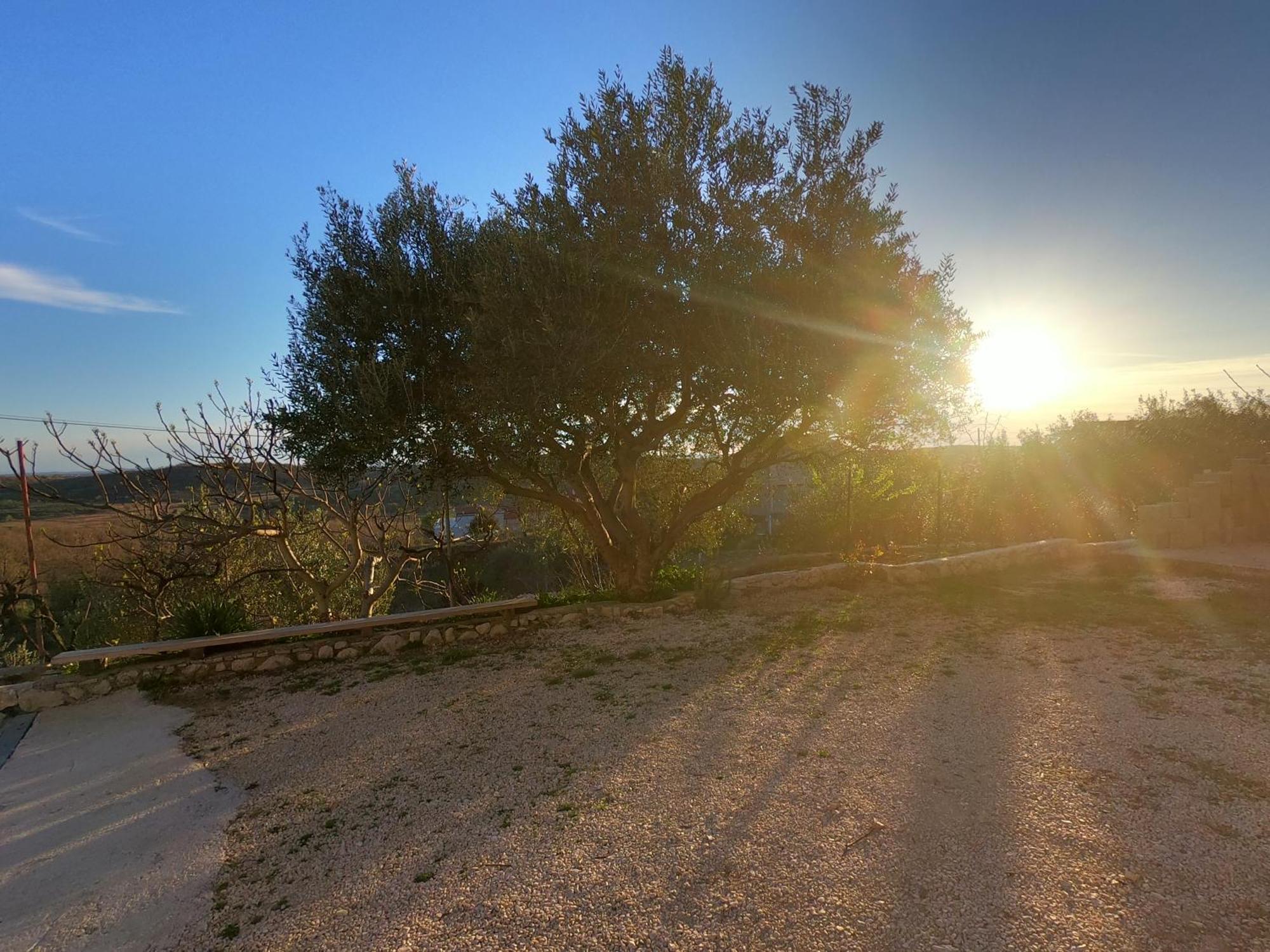 Apartman Tina Ražanac Esterno foto